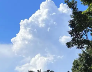 长岭天气预报,长岭7天天气预报,长岭15天天气预报,长岭天气查询